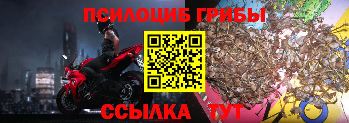 Галлюциногенные грибы мицелий Сертолово